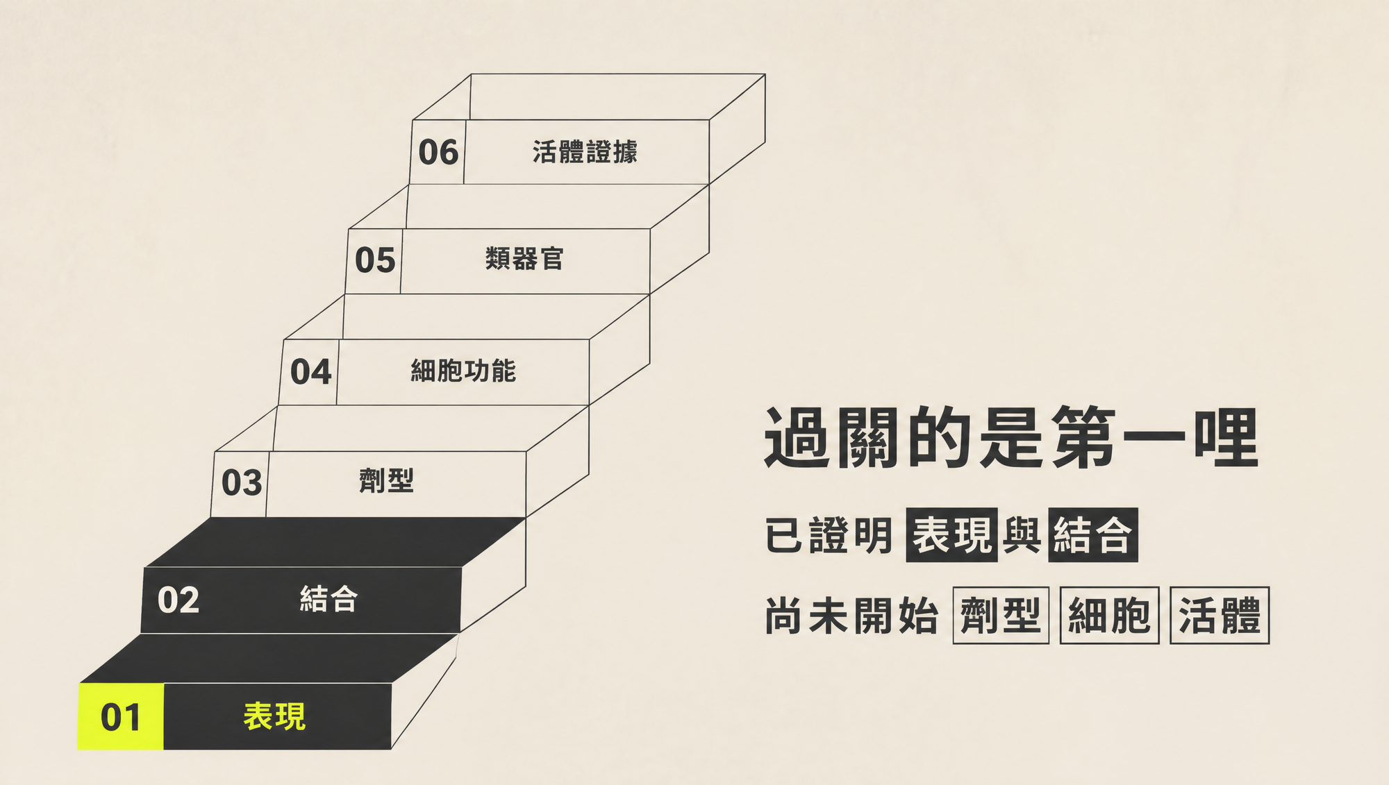 過關的是第一哩:已證明表現與結合,劑型、細胞功能與活體證據仍缺
