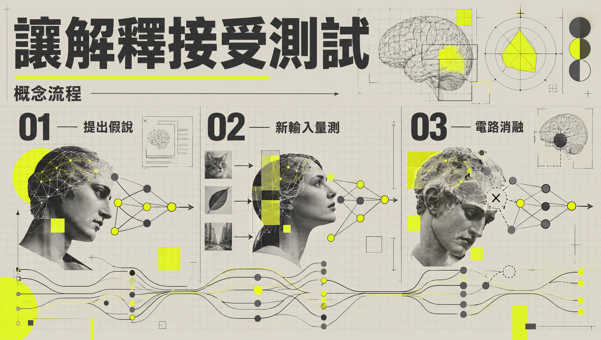 觀察、預測、量測與消融測試的研究流程示意